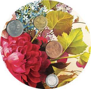 2018鑫產(chǎn)品 富貴花開，財源滾滾的水果盛宴