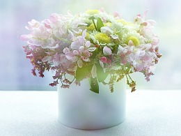 隨影舞動 ZCOOL設(shè)計師的花卉藝術(shù)探索