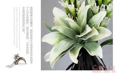 帝恩尼EVA仿真花卉 為現(xiàn)代客廳注入自然之美