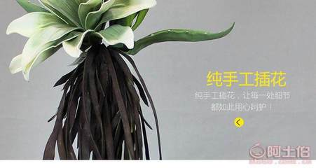 帝恩尼仿真花卉 為家居注入永不凋零的自然美學