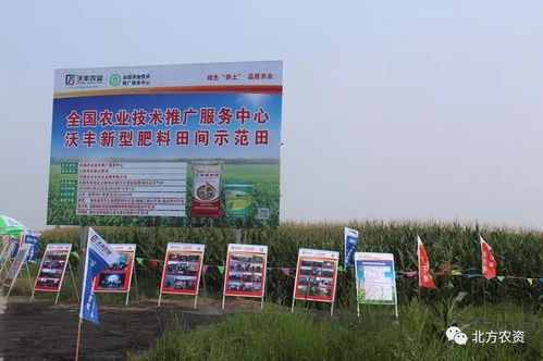 實(shí)踐檢驗(yàn)真理，養(yǎng)土大業(yè)迎發(fā)展機(jī)遇；勇扛大旗，教育咨詢譜新篇