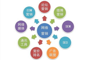 教育咨詢行業(yè)中的網(wǎng)絡(luò)營銷與網(wǎng)絡(luò)推廣 協(xié)同共進(jìn)的雙翼