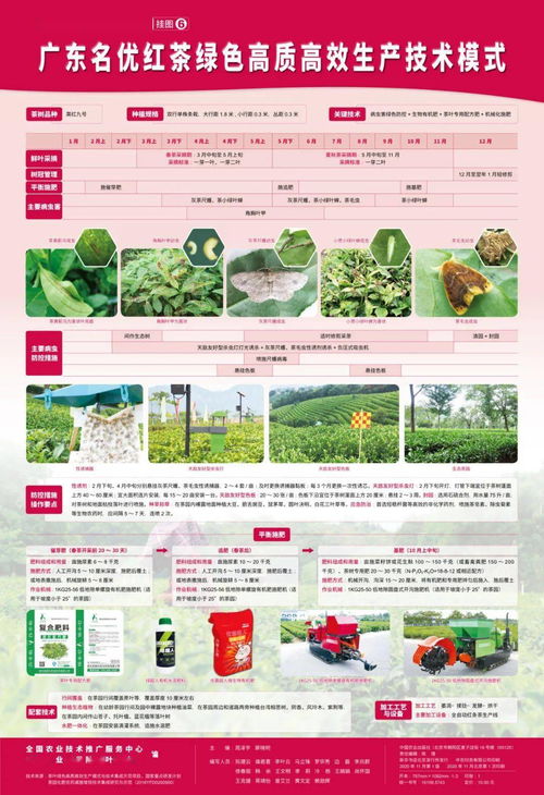 茶葉綠色高質高效生產模式 圖文并茂，一學就會
